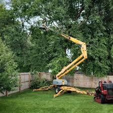 Lawn Irrigation Installation and Maintenance in Kingston, TN